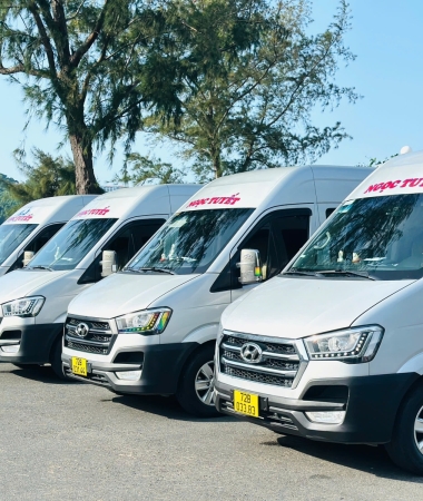 Xe Ngọc Tuyết Vũng Tàu đi bệnh viên